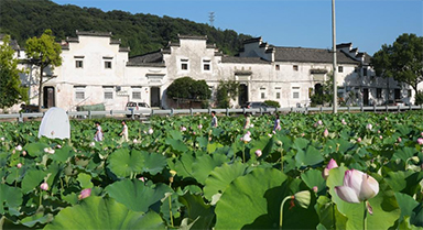 賞荷經(jīng)濟(jì)帶動鄉(xiāng)村游