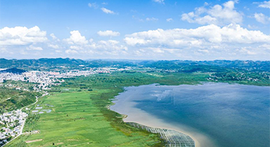 草海夏日風(fēng)光美