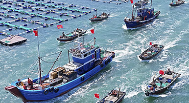 千船競(jìng)發(fā)耕藍(lán)海